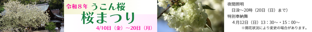 上地八幡宮の鬱金桜の桜まつりの案内